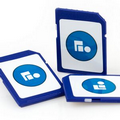 SD Memory Card (4 GB)